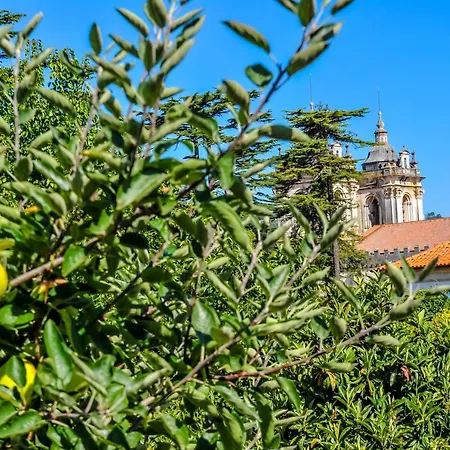 Solar Da Cerca Do Mosteiro Alojamento de Turismo Rural Alcobaça