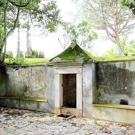 Alojamento de Turismo Rural Solar Da Cerca Do Mosteiro Alcobaça